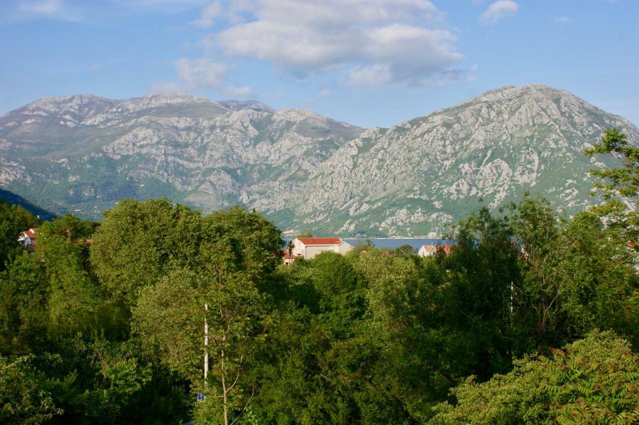 Studio Apartments Morinj Εξωτερικό φωτογραφία