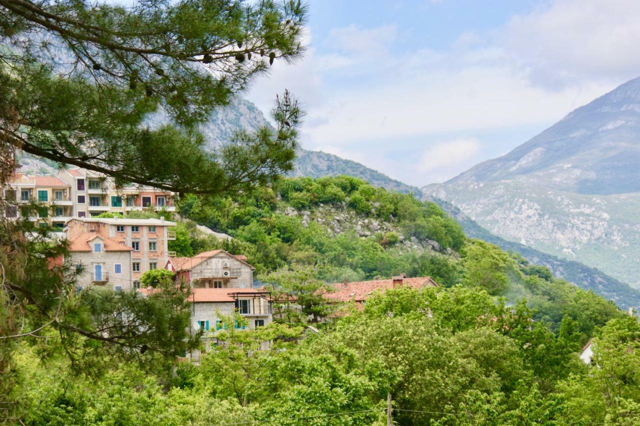 Studio Apartments Morinj Εξωτερικό φωτογραφία